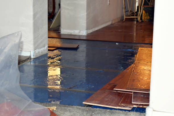 Professional Basement Water Removal technician working in Huntington, TX